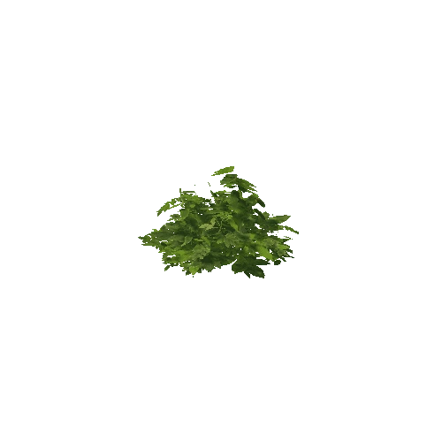 Plant 20_LOD_2